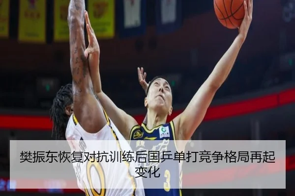 樊振东恢复对抗训练后国乒单打竞争格局再起变化