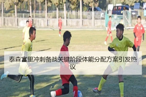 泰森富里冲刺备战关键阶段体能分配方案引发热议